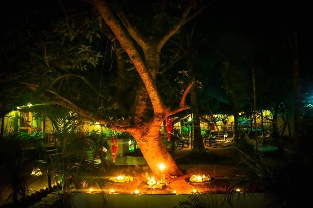 מלון פטנם Patnem Palm Garden מראה חיצוני תמונה